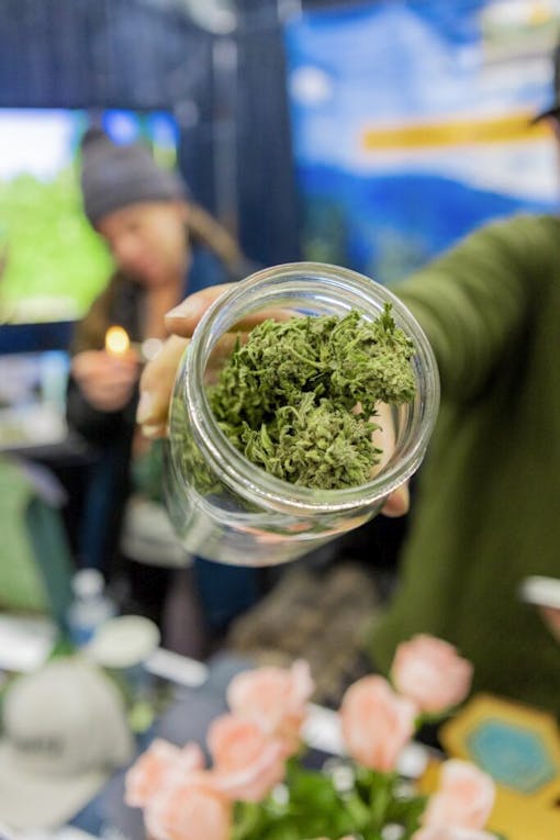 emerald cup day 1 weed jar