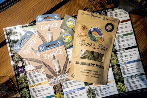 scratch and sniff by daniel lee