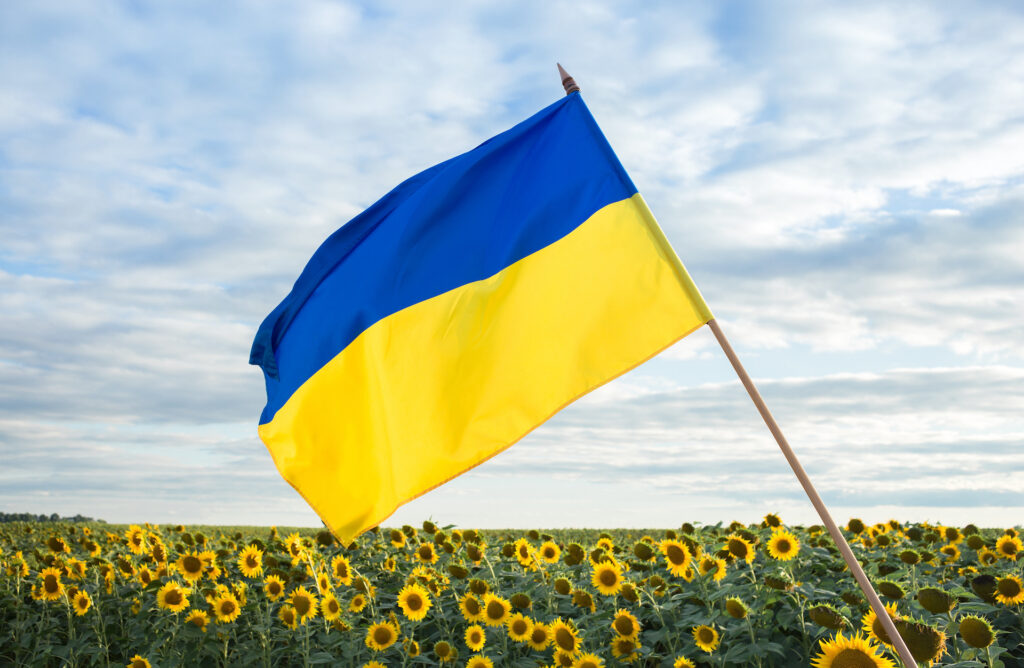 large satin flag of Ukraine in yellow and blue colors against the background of a blooming field of sunflowers and the sky