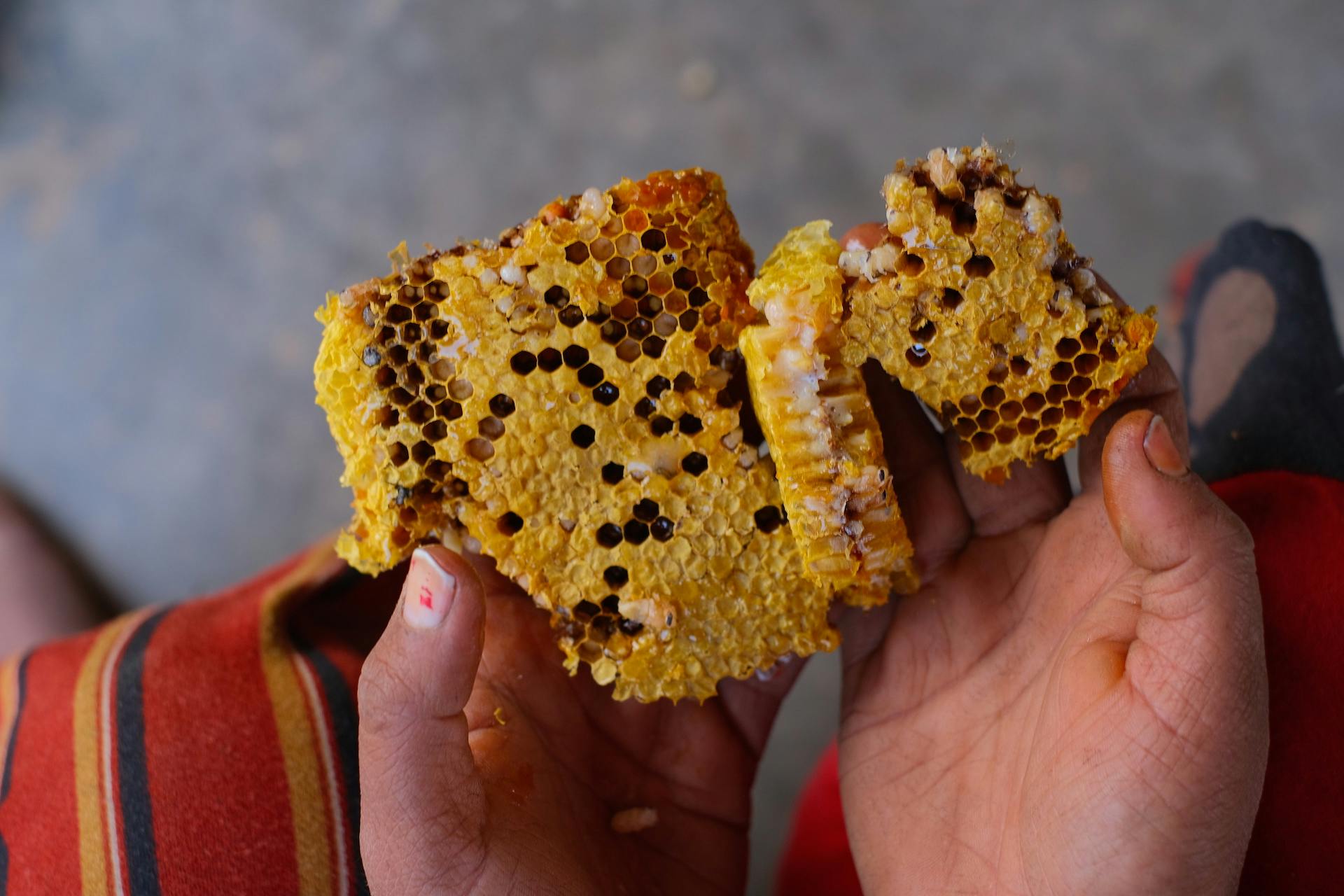 I tried ‘mad honey,’ but felt pretty happy image