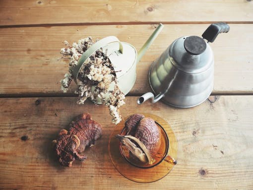 Ganoderma lucidum tea - Ling zhi mushroom