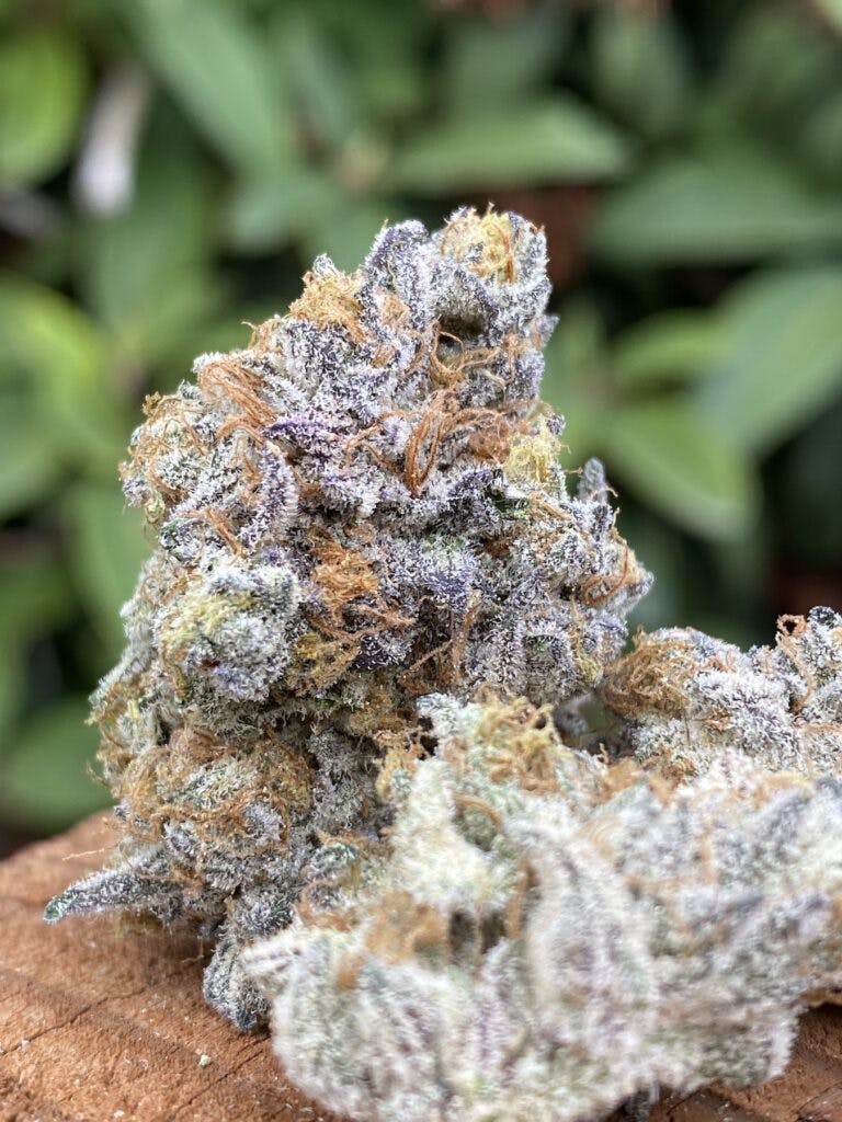 Leafly Buzz 12 top cannabis strains of December Leafly