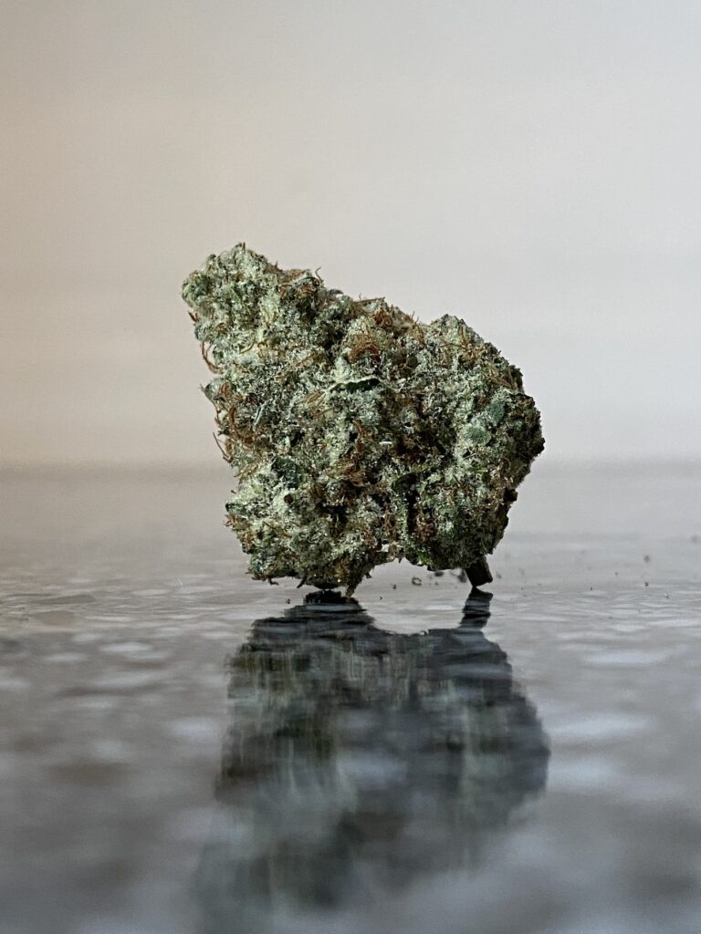 Lemon Maraschino #6 grown by Tao Gardens, OR. (Will Hyde for Leafly)