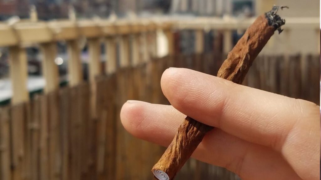 People who smoke blunts what wrap do you use? Grabba leaf is the only  way to go for me! : r/FLMedicalTrees