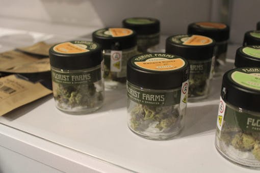 (Meg Schmidt / Leafly)