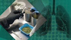 Researchers say cannabis may help treat Covid-19 image