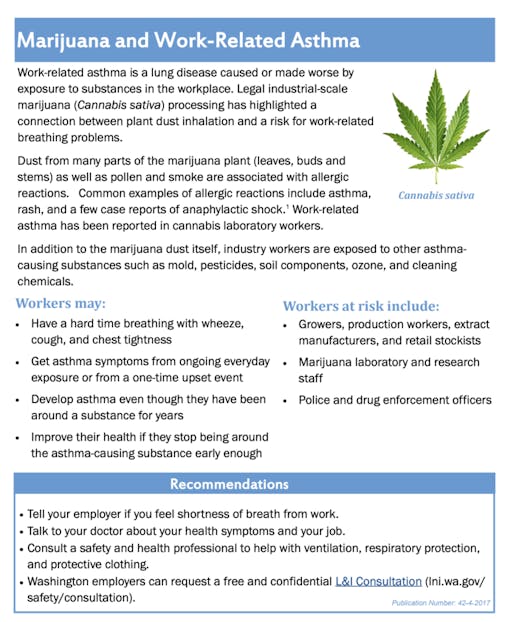 guidance-for-cannabis-workers