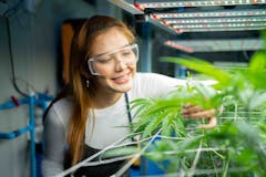 cannabis-worker-in-grow-room