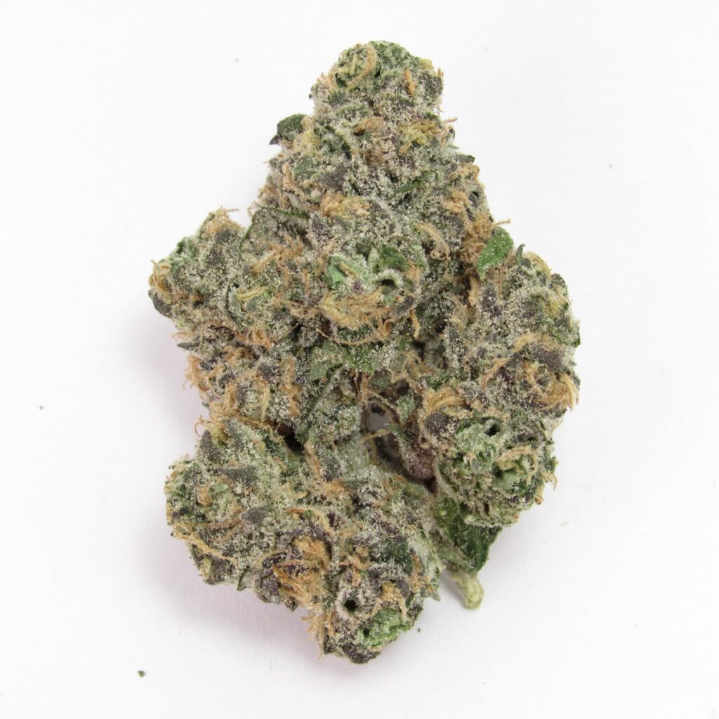 Blackberry Gary. Hybrid. (David Downs/Leafly)