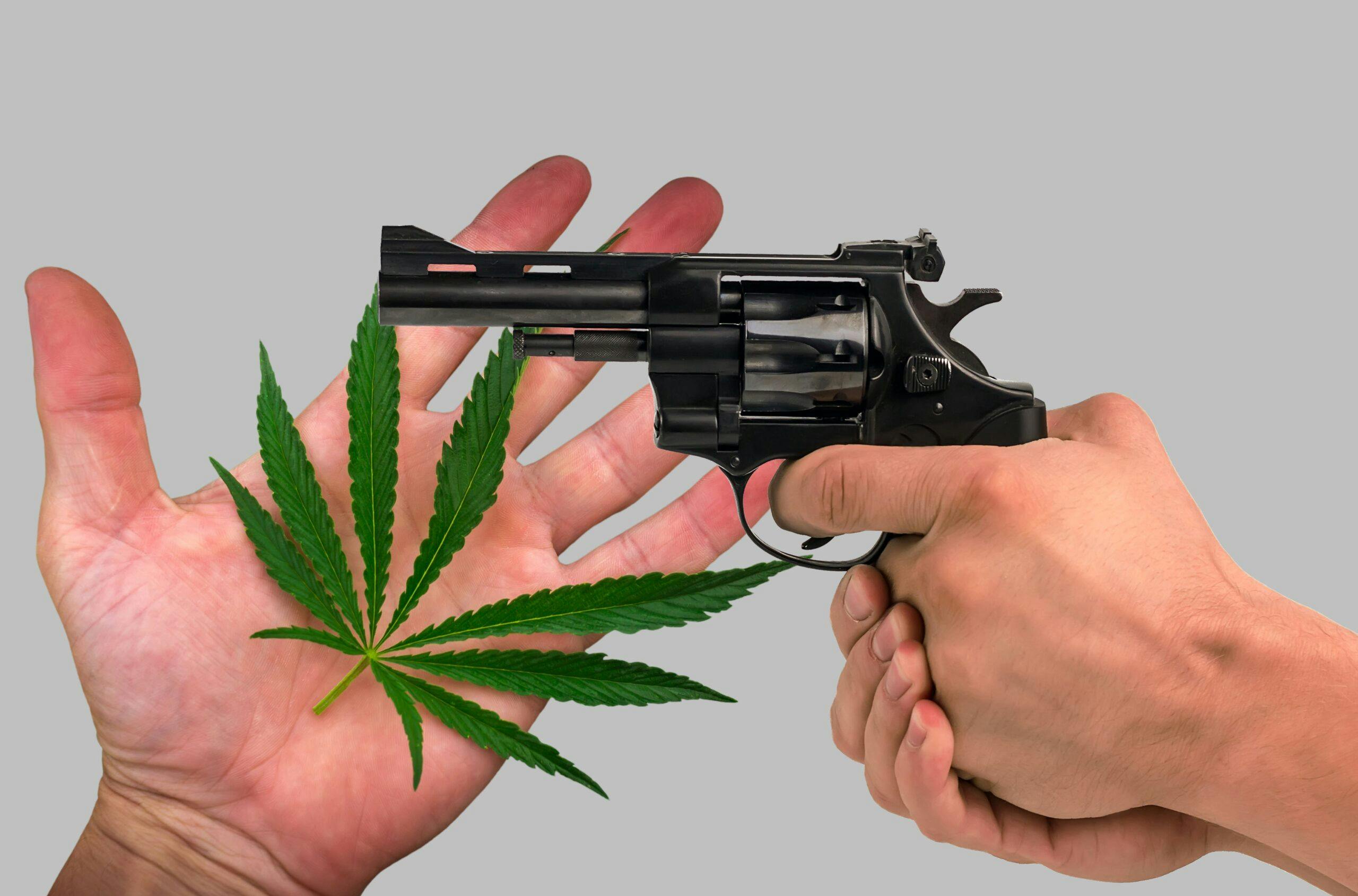 House Republicans get early jump on marijuana bills for gun owners and veterans image