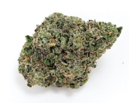 Goofiez. Hybrid. (David Downs/Leafly)