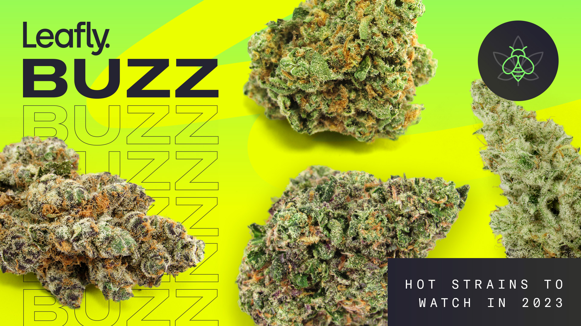 Image of post: Leafly Buzz: 13 top cannabis strains of ’23