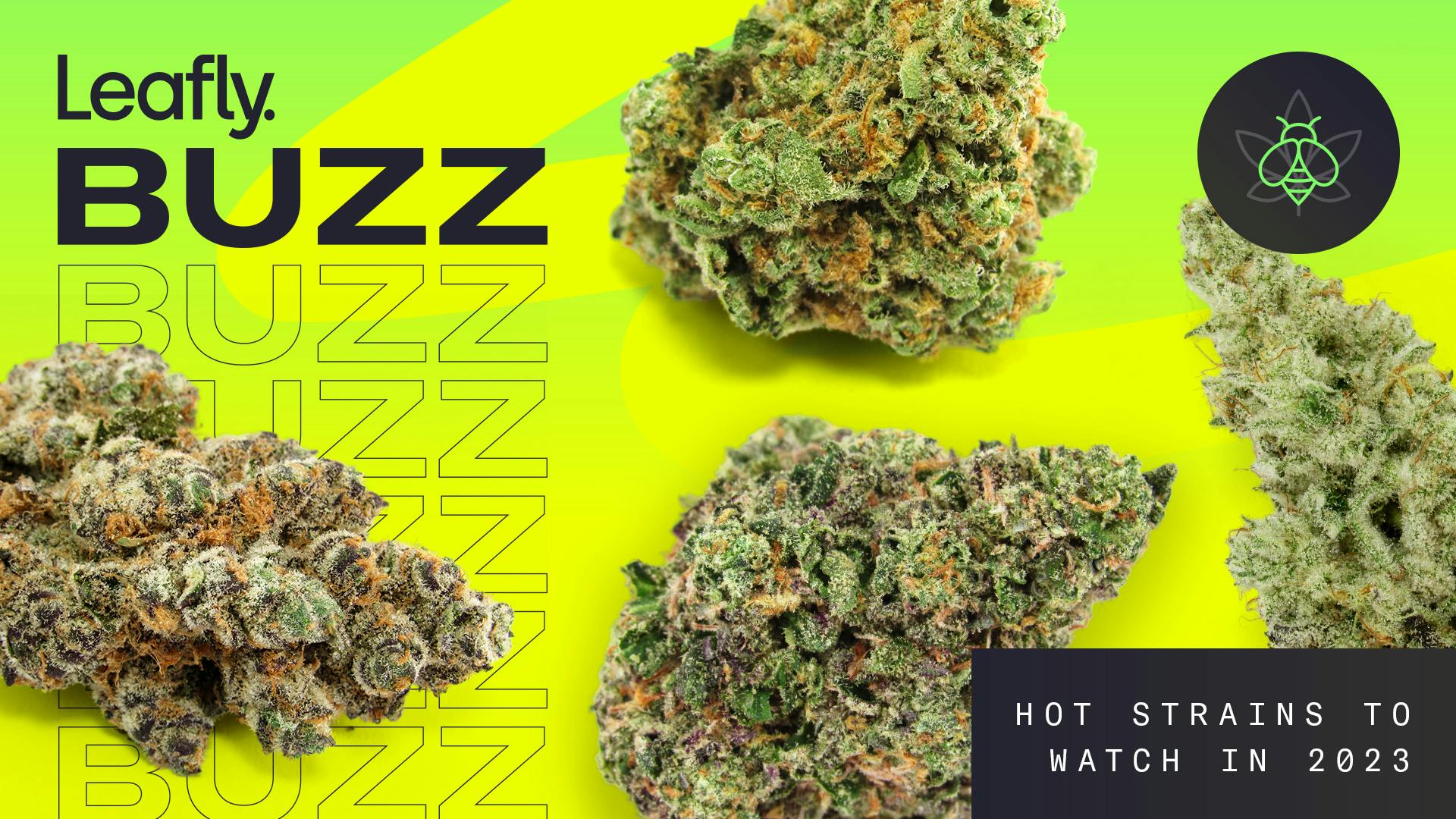 Leafly Buzz: 13 trending weed strains of ’23 | Leafly