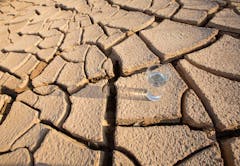 cannabis cottonmouth glass in dry desert