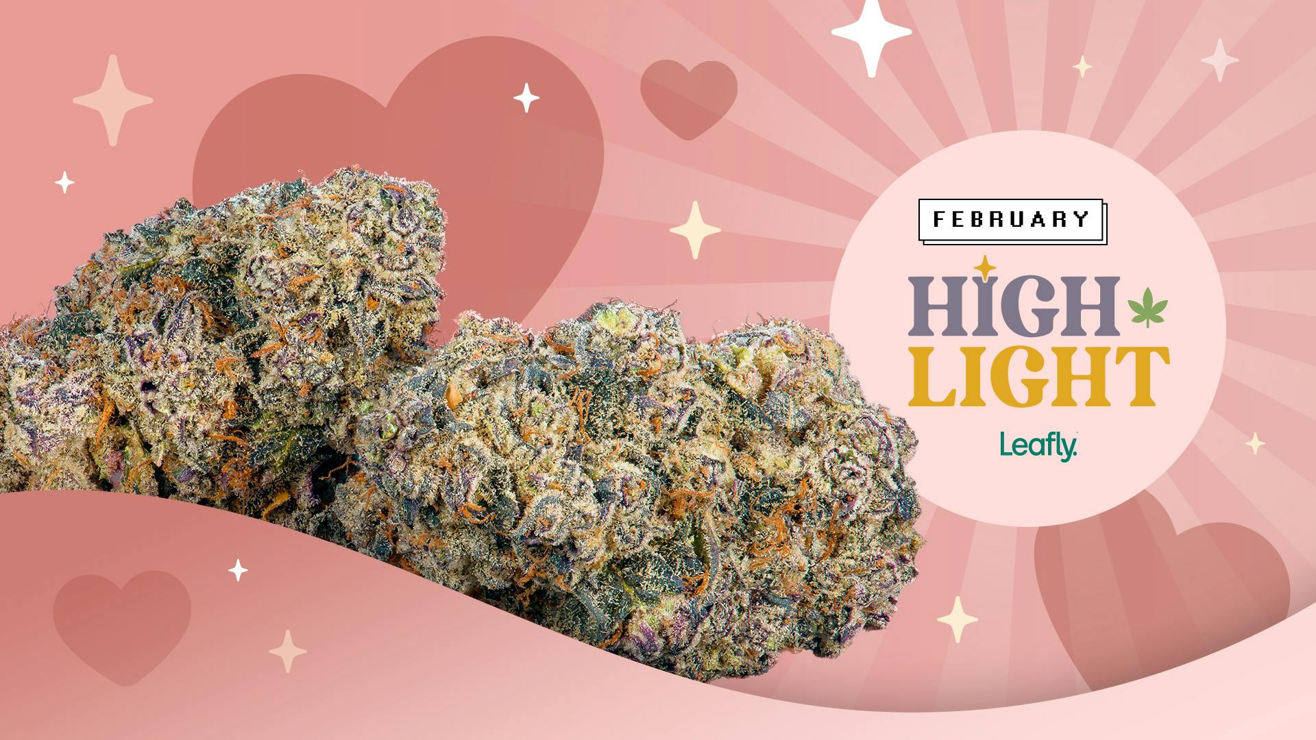 February 2023 Leafly HighLight Cereal Milk weed strain Leafly