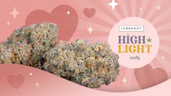 (Sasha Beck; Courtesy Cookies)