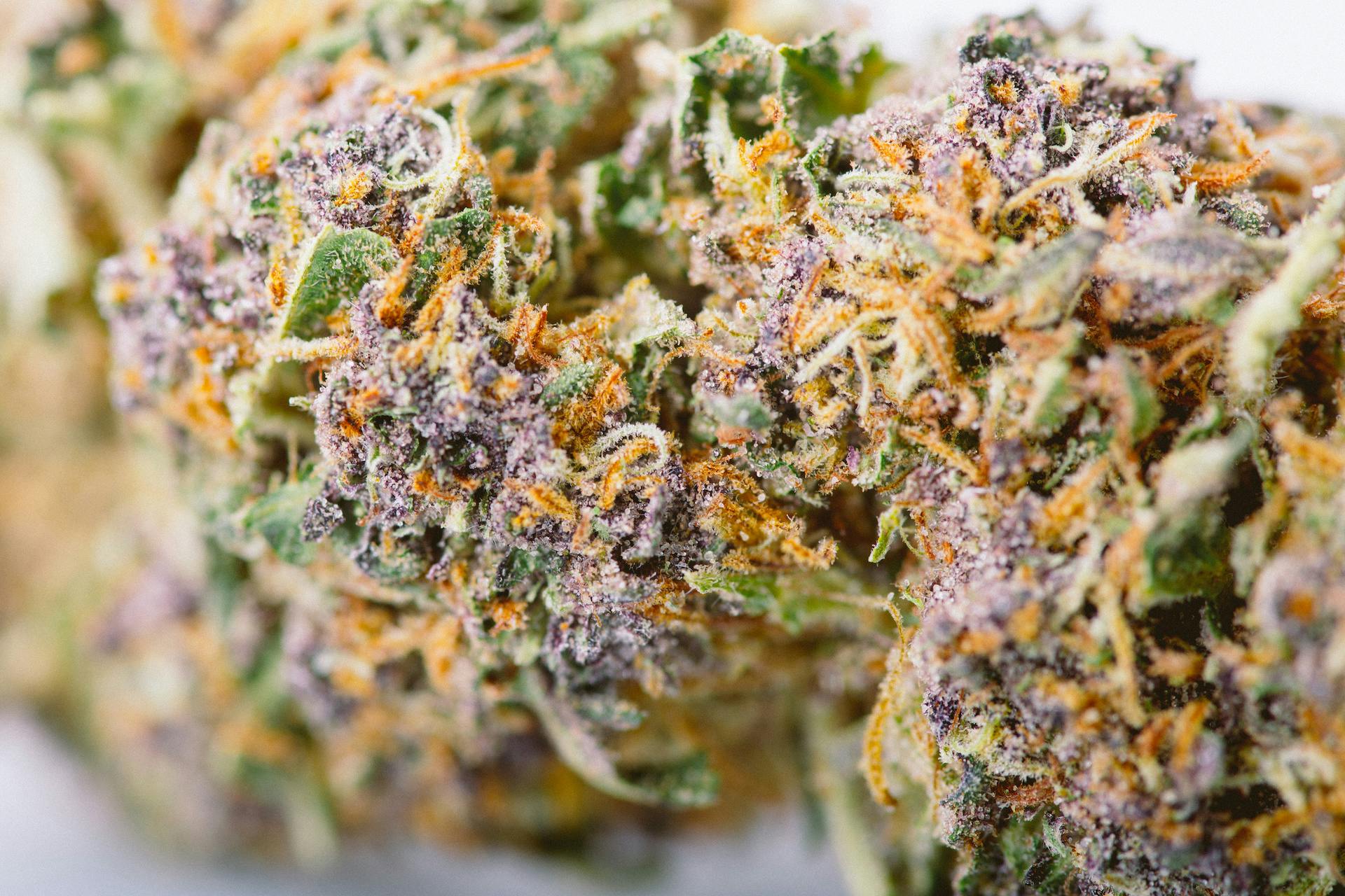 Missouri's best weed strains and products 2023 image