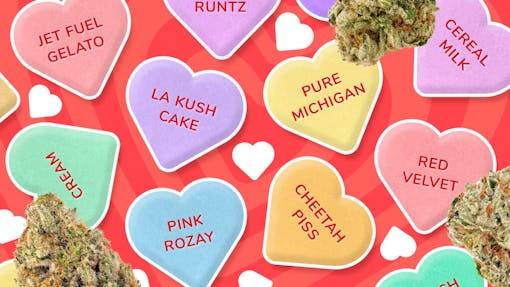 Leafly reviewers enthusiastically consent to these 8 arousing strains. (Sasha Beck/Leafly)