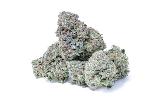 Pink Rozay all day. (Courtesy Theory Wellness)