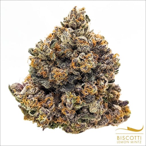 (Courtesy Pintail Gardens)