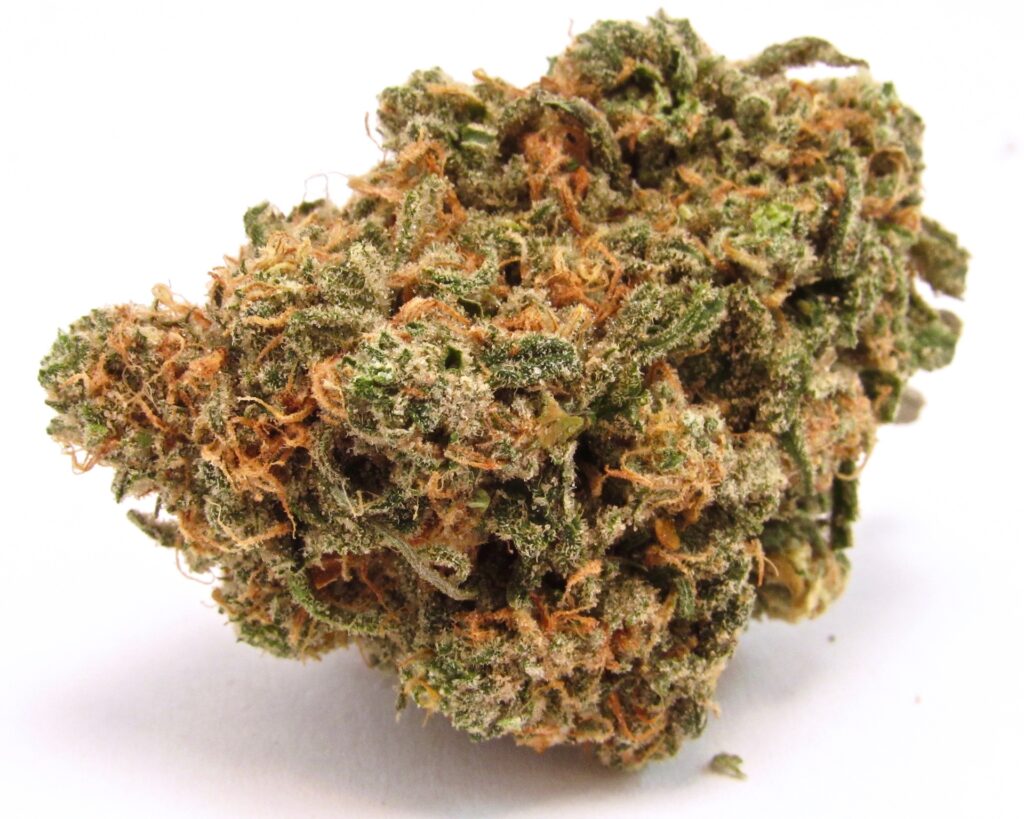 Blauer Traum. Hybride Sativa. (David Downs/Leafly)