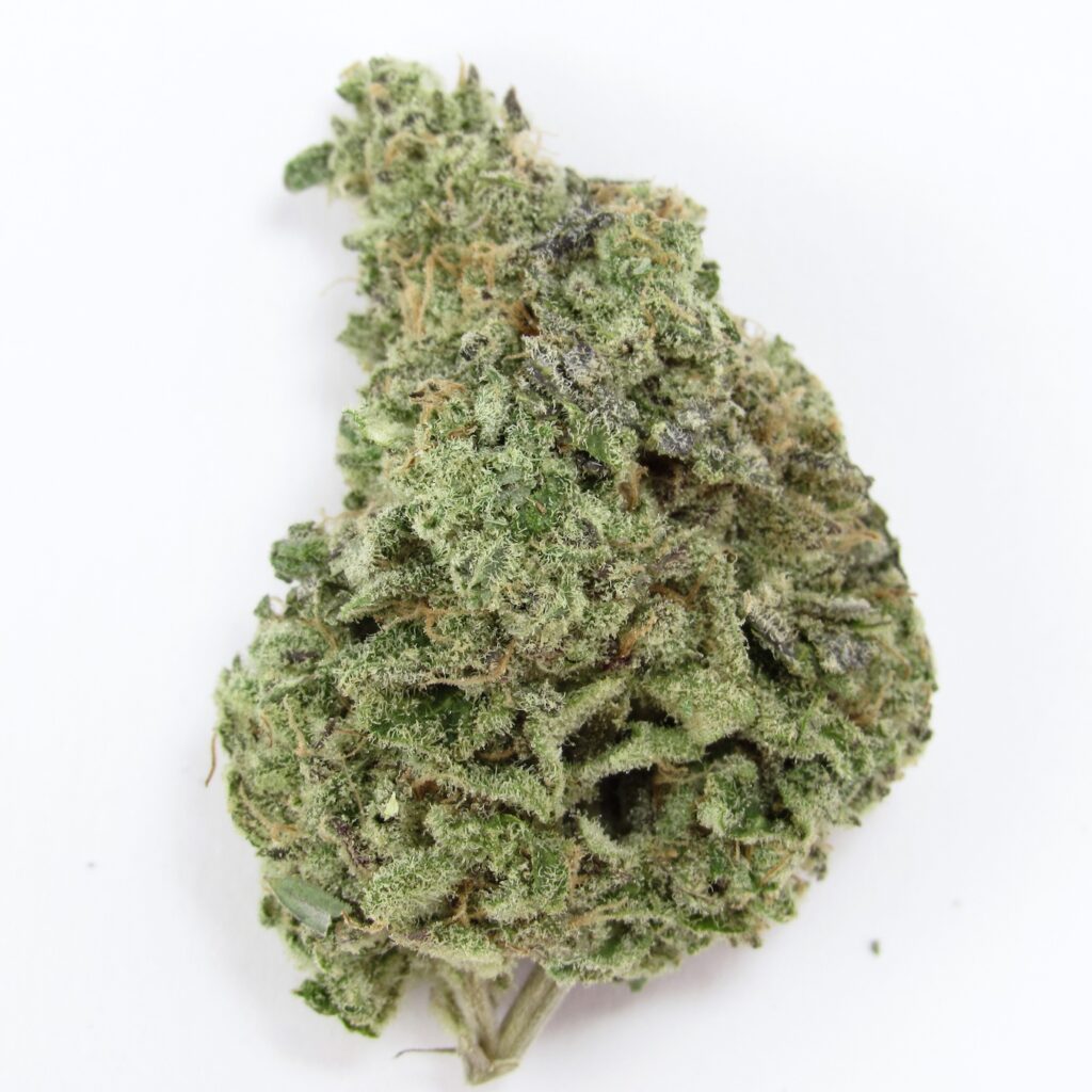 Rainbow Cheddar x Pfefferminz-Agave. Hybrid. (David Downs/Leafly)