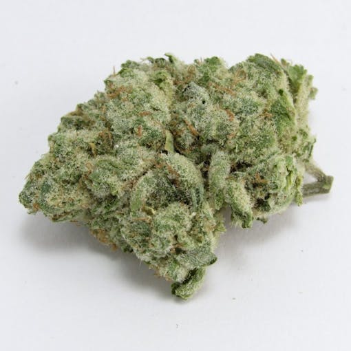 Agent X. Hybrid. (David Downs/Leafly)