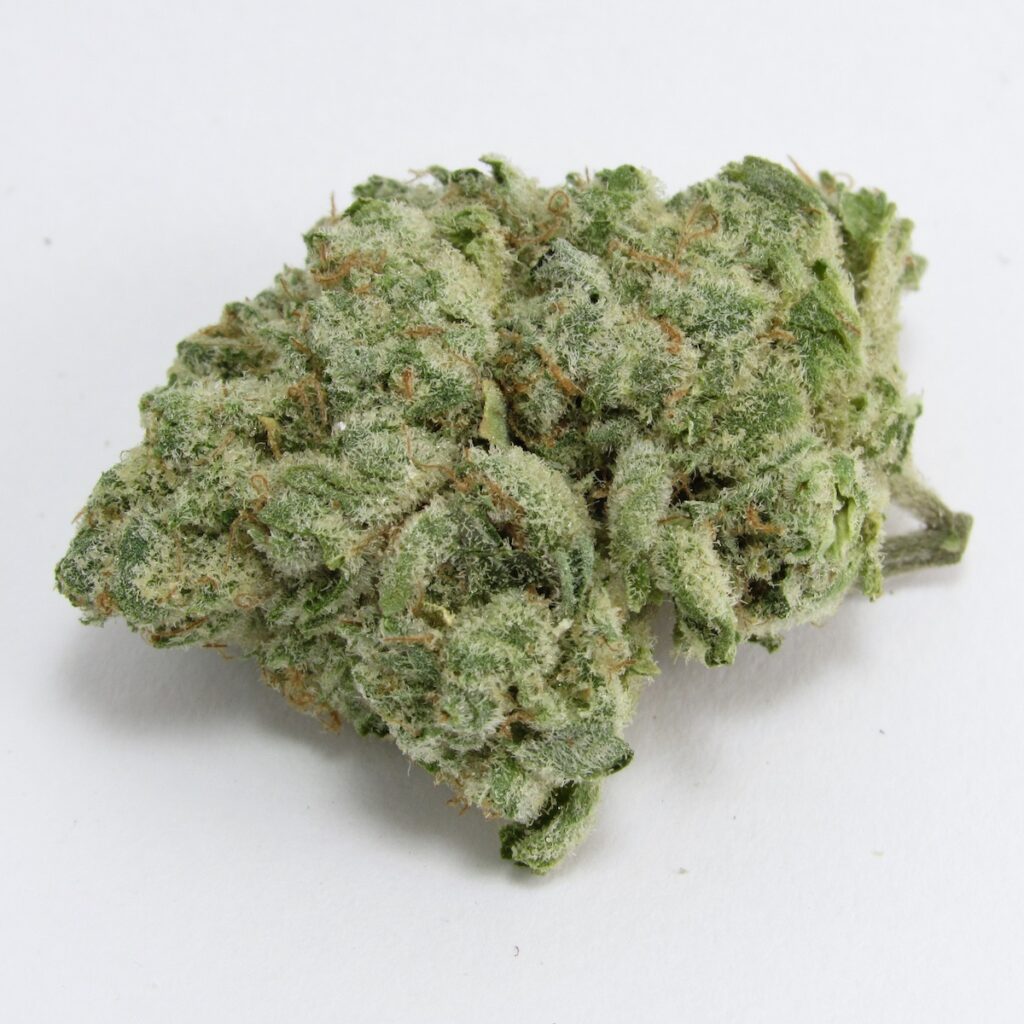 Agent X. Hybrid. (David Downs/Leafly)