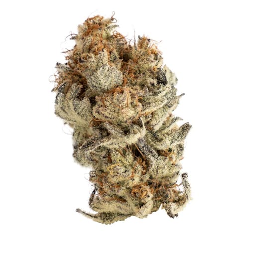 Perfect Pair. (Photo by Annie Abbey, courtesy of Plaid Jacket)