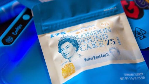 London Pound Cake cannabis by Cookies