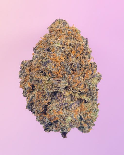 Congo Kashmir cannabis by Cookies.