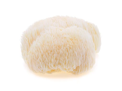 white mushroom on white background