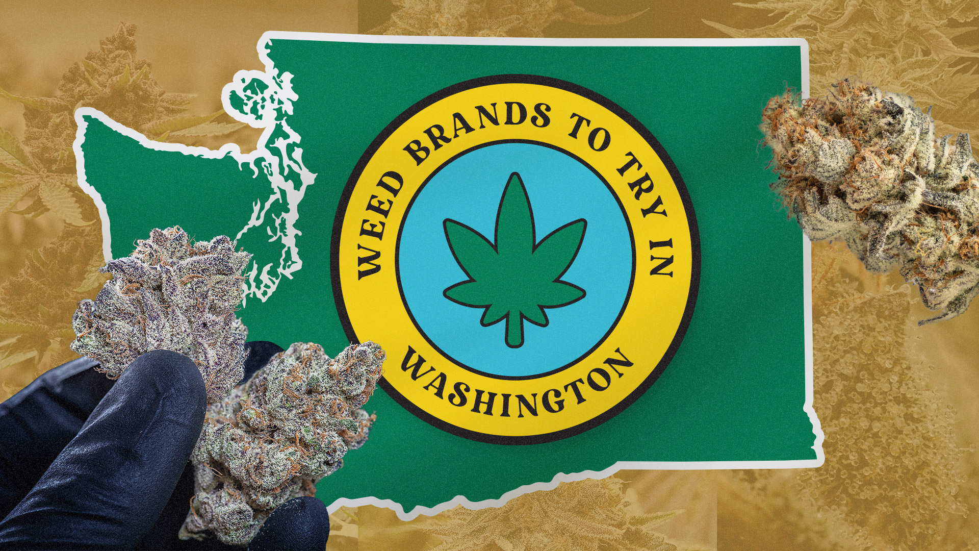 7 best Washington weed brands you must try in 2023