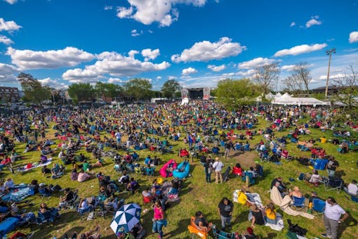 national cannabis festival overhead view of patrons in grass field.