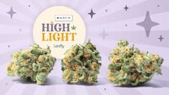 Each month, Leafly spotlights a top 200 national strain you should know—we call it Leafly HighLight. This March, the MAC 1 strain puts the smackdown on winter’s end.