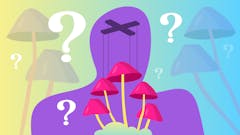 are magic mushrooms addictive