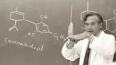 Dr. Mechoulam was the first to isolate THC in the 1960s and his research laid the foundation for medical and adult-use weed legalization.