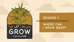 Let It Grow #1: Where can I grow weed? image