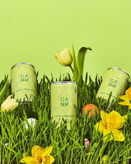 Dry march. (With the kind permission of Cann)