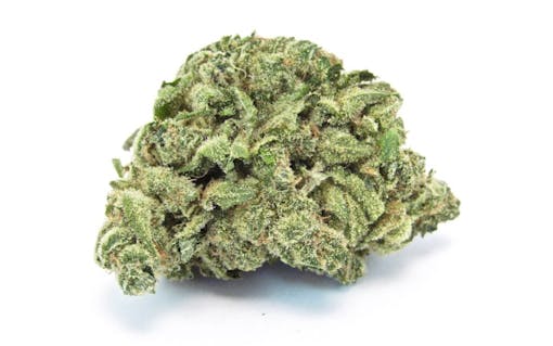 Banana OG. Hybrid indica. Grown by Occidental Hills. (David Downs/Leafly)