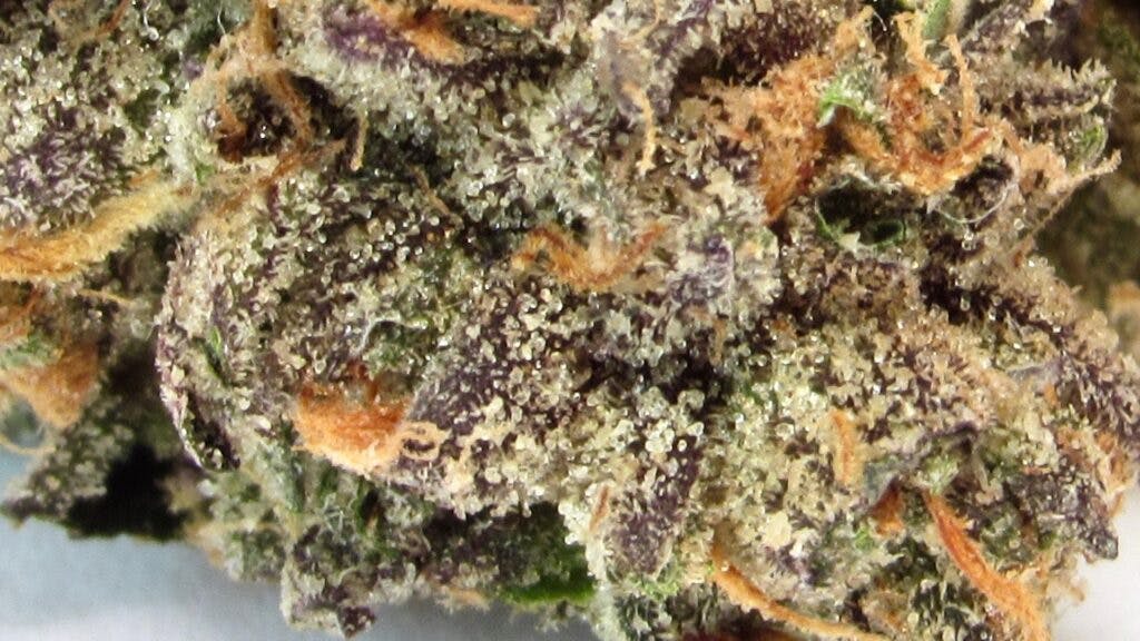 Leafly Buzz 13 top cannabis strains of March Leafly