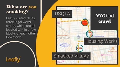 NYC bud crawl map Leafly review cannabis srtains.