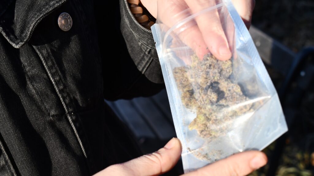 Woman holds cannabis bag and pulls out buds in NYC.