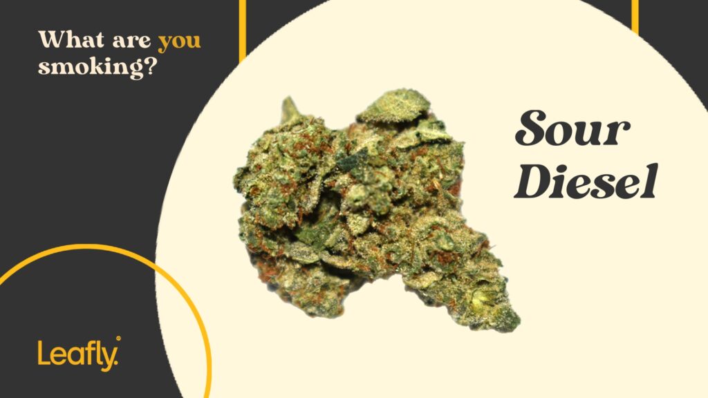 Sour Diesel nug shot