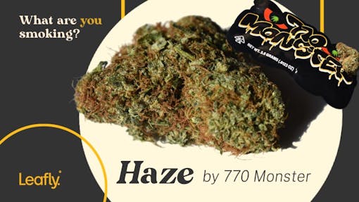 OG Haze from 770 Monster nyc legacy cannabis
