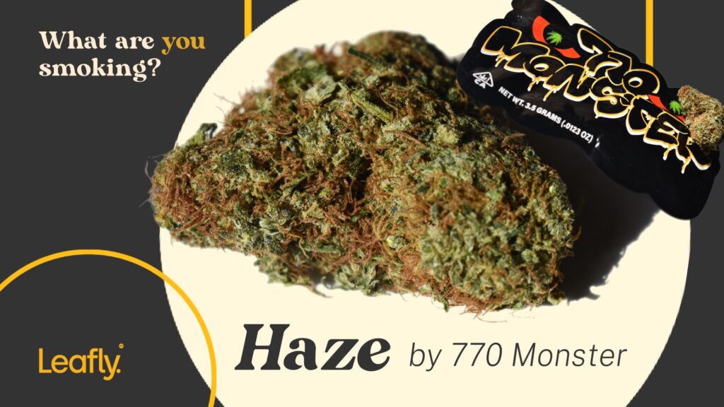 OG Haze from 770 Monster nyc legacy cannabis