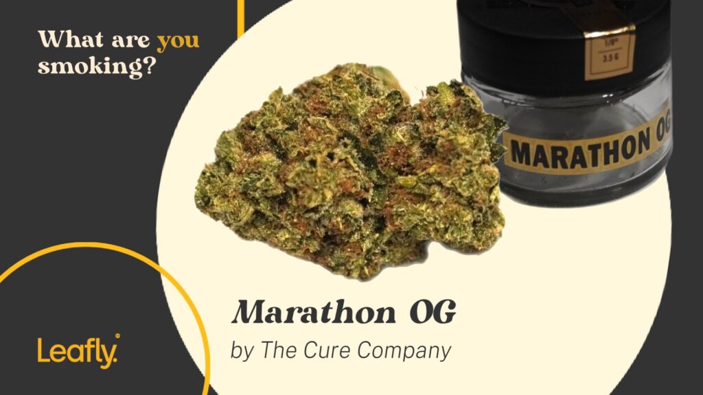 Marathon OG by The Cure Company