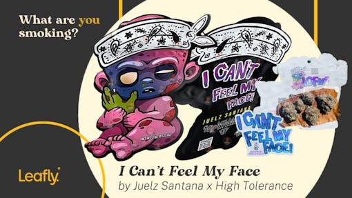 I Can't Feel My Face by Juelz Santana cannabis High Tolerance.
