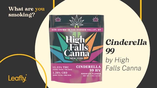 Cinderella 99 by High Falls Canna via Lealfy.