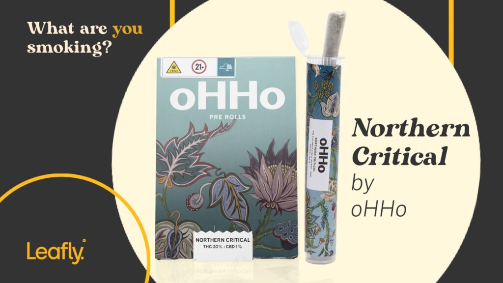 oHHo Northern Criticall product shot by Leafly.